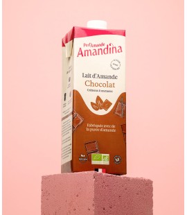 Boisson Amandina Choco 1L