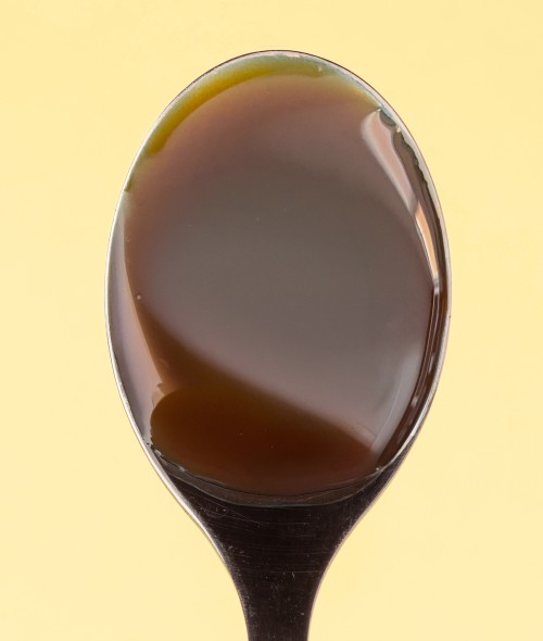 Yacon nature 235g