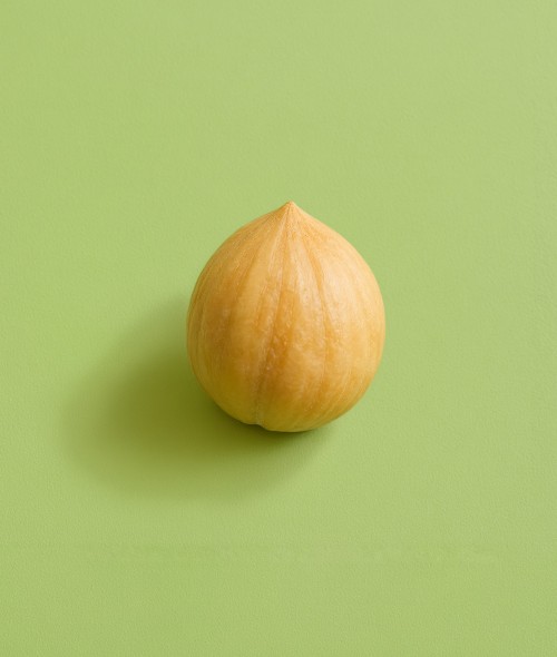 Noisette du Piemont...