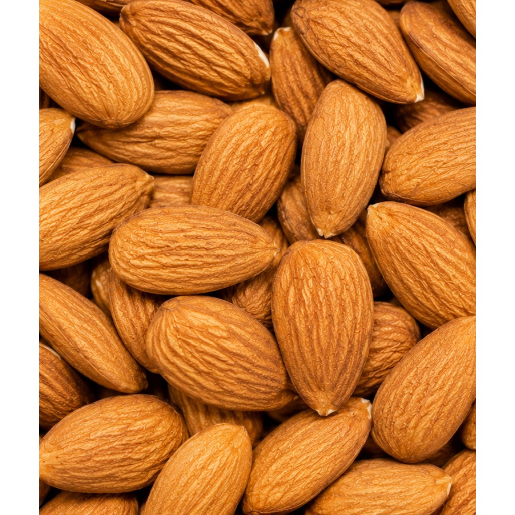 Bulk Shelled Almond France I Bedouin