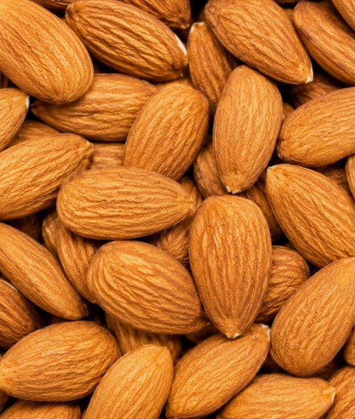 Bulk Shelled Almond France I Bedouin