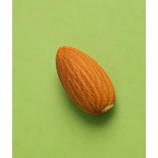 Bulk shelled almond Provence I Bedouin