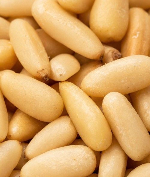 Bulk Pine Nuts I Bedouin