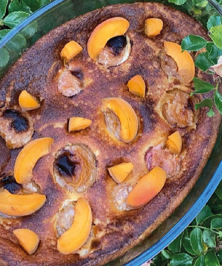 Clafoutis aux abricots et lait d'amande Amandina by Lacuisine.devalouuu